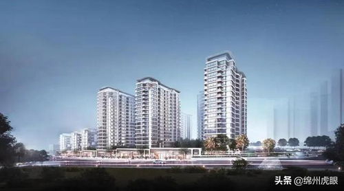 這座豪宅,在這個百強房企系統里,全國只有兩座,一座落址園藝山