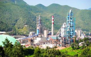 華新先進基層黨組織巡禮 萬源公司 迪慶公司 大冶公司